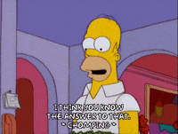 homer simpson GIF