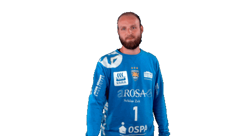 Handball-Bundesliga Handball Sticker by LIQUI MOLY HBL