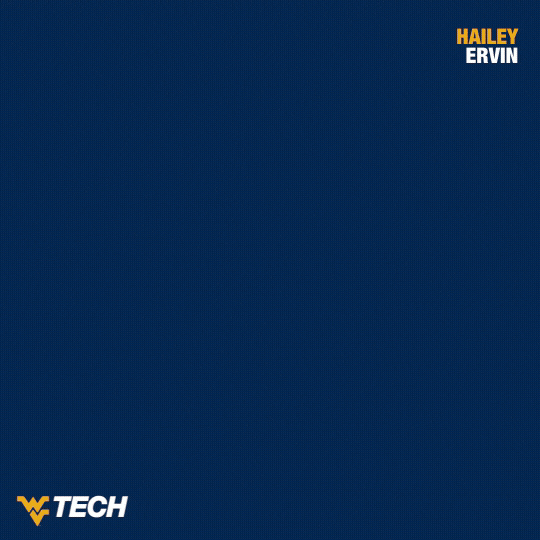 Volleyball GIF by WVU Tech Golden Bears