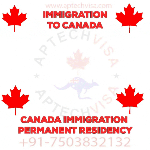 aptechvisa giphygifmaker giphyattribution canada immigration immigration to canada GIF