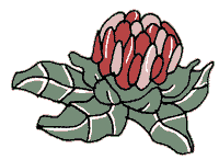 flora australiana Sticker