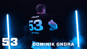 MunichRavens football munich ravens muenchen GIF