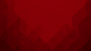 Trinec GIF by HC Oceláři Třinec