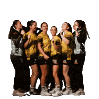 Handball Crazy Girls Sticker by TV Merchweiler Panther