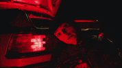 winonaoak winona oak break my broken heart GIF