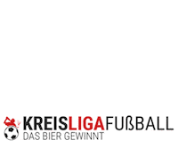 Football Soccer Sticker by Kreisligafußball