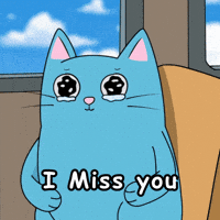 Cat Crying GIF