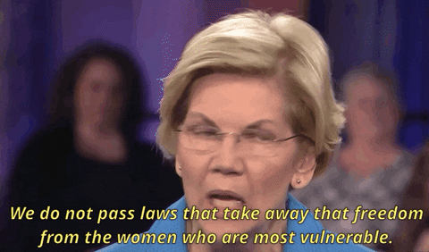 Elizabeth Warren Msnbc GIF