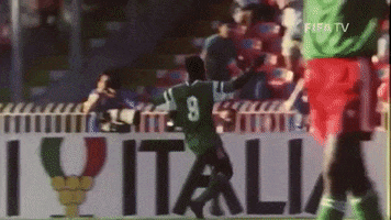 World Cup Football GIF by FIFA