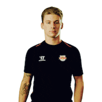 Red Bulls Cap Sticker by EC Red Bull Salzburg