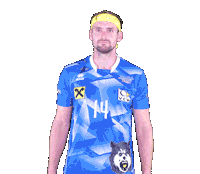 Volleyball Wolfe Sticker by VCWolfurt