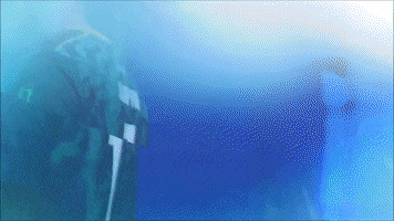 League Of Legends Reaction GIF by Evil Geniuses
