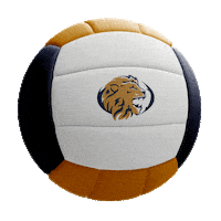 Volleyball Sticker by Grace Prep Academy