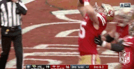 San Francisco 49Ers Football GIF by NFL