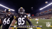 Pittsburgh Steelers Football GIF by NFL