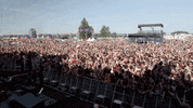 Indy 500 GIF by Indianapolis Motor Speedway