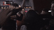 Happy Major League Baseball GIF by MLB