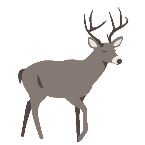 Camping Canadian Sticker