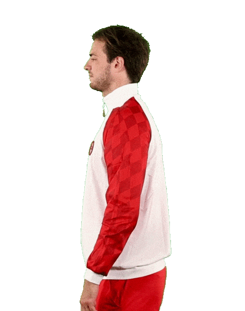 Line Up Handball Sticker by CroWP