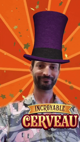 jackyvignon giphyupload GIF