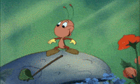 bootle beetle smelling GIF