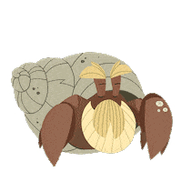 Hermit Crab Animation Sticker by Puffin Rock