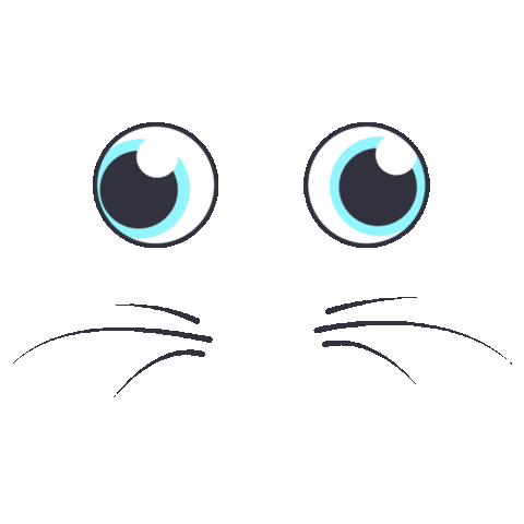 cat Sticker by CryptoKitties