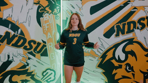 Volleyball Bison GIF by NDSU Athletics
