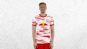 Football Idk GIF by RB Leipzig