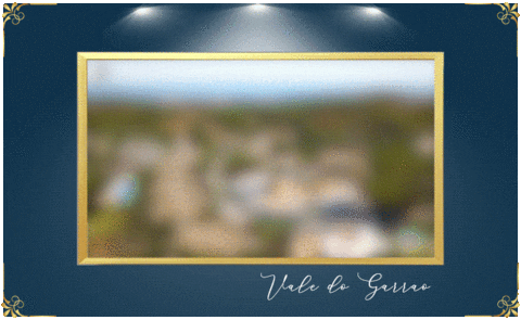 Golden_VisaP giphyupload GIF