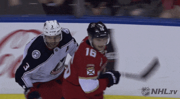 happy ice hockey GIF by NHL