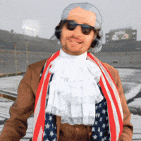 Green Bay Packers GIF