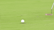Putting Daniel Gaunt GIF by PGA EuroPro Tour