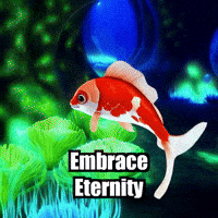 Energy Wisdom GIF by TheConfishius