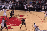 New York Knicks GIF by SB Nation