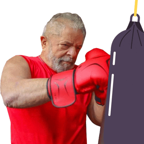 LulaOficial giphyupload box lula boxeador Sticker