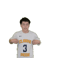 Mens Basketball Sticker by Clarke University