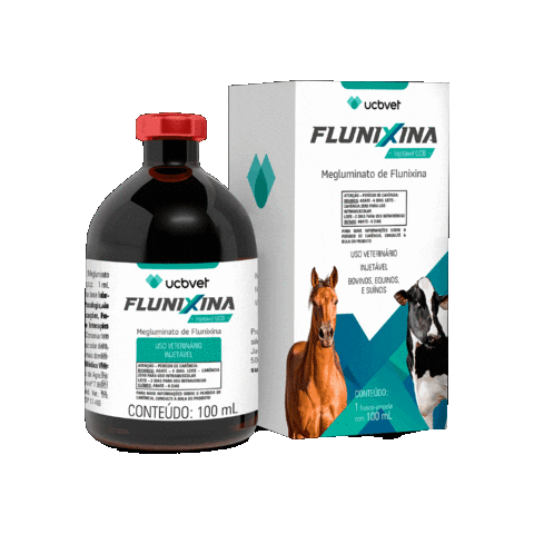ucbvet giphygifmaker vaca cavalo saude animal Sticker