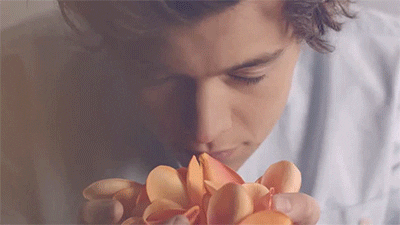 one direction our moment GIF