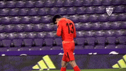Soccer Futbol GIF by Sevilla Fútbol Club