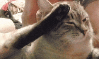 Saluting Rest In Peace GIF