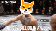 Shiba Inu GIF by :::Crypto Memes:::