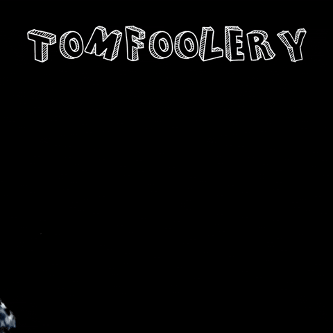 Tomfoolery Horsing Around GIF