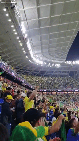 Fans Go Wild as Brazil Scores 