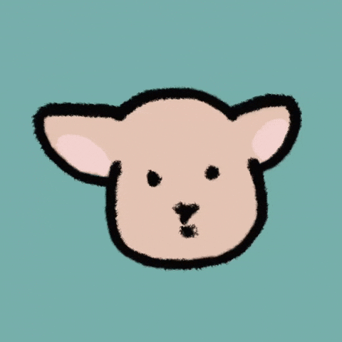 GreyRabbitu what shock huh oh GIF