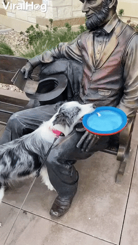 Abe Lincoln Wont Throw Frisbee For Perky Pup GIF by ViralHog