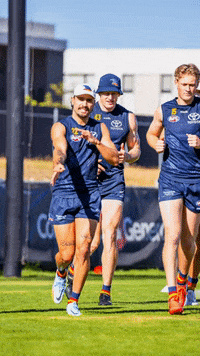 GIF by Adelaide Crows