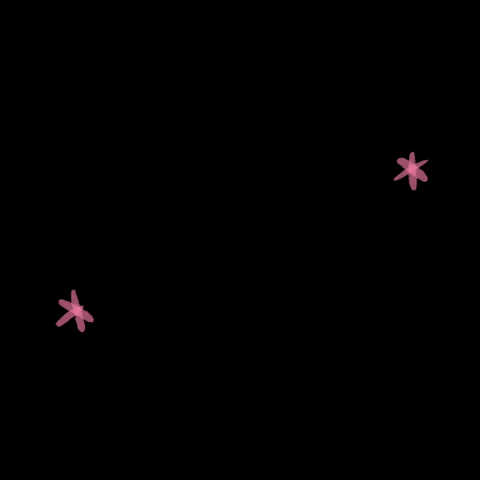 Story Time GIF by Cahre talento