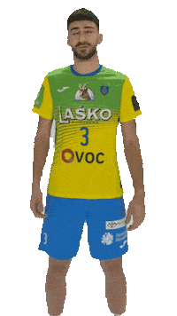 Handball Fans Sticker by RK CELJE