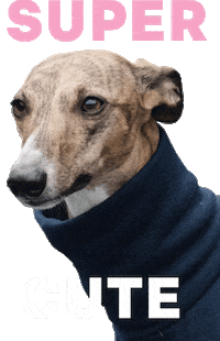 Lolly The Whippet Sticker